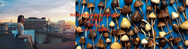 дурь Нея