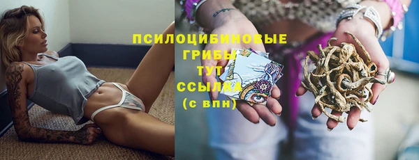 дурь Нея