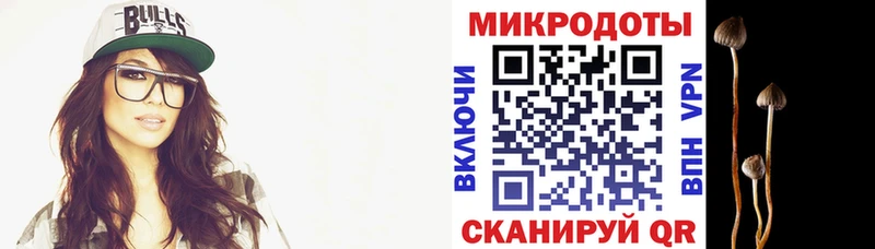 Псилоцибиновые грибы Cubensis Торжок