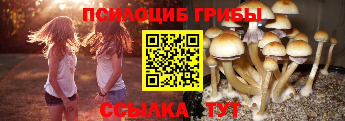 Галлюциногенные грибы ЛСД  Галлюциногенные грибы MAGIC MUSHROOMS  Торжок  Вход с VPN 